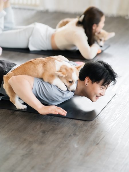 йога 3_33 йога со щенком